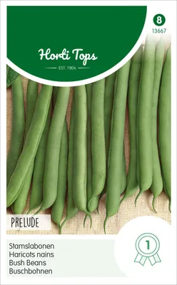 Imagen del producto de Buschbohne Prelude (250 g) | Semillas de judías enano de Hortitops