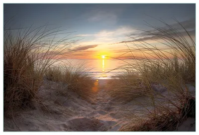 Produktbild von Wallario Küchenrückwand aus Glas, Größe: 90 x 60 cm, Motiv: Sonnenuntergang am Strand | Spritzschutz | abwischbar | pflegeleicht | in