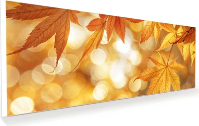 Produktbild von Glasbild 125x50cm in XXL für Wohnzimmer, Schlafzimmer Motiv Herbstlich Glitzernd