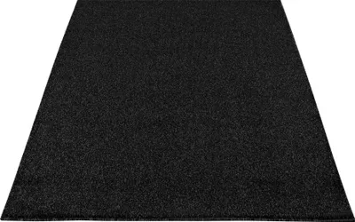 Produktbild von Carpetsale24 Teppich Wohnzimmer Kurzflor Uni Design, Pflegeleicht & Modern, Für Schlafzimmer Flur, Grösse: 280x370 cm