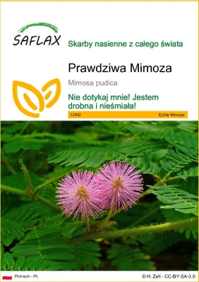 Zdjęcie produktu dla SAFLAX - Prawdziwa Mimoza - 70 Nasiona - Mimosa pudica