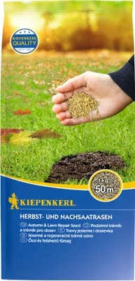 Produktbild von Kiepenkerl Saatgut Herbst- und Nachsaatrasen 1 kg, für 50 m²