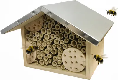 Produktbild von Relaxdays Bienenhotel, Holz, wetterfestes Metalldach, Bambusröhrchen, Garten, Insektenhotel zum Aufhängen, natur/silber