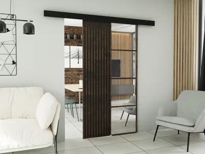 Produktbild von KIER FURNITURE Wandschiebetüren mit Spiegeln MOLI MOLI 100 - 106x205x1,6 cm - Esche dunkel