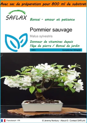Image de SAFLAX Garden in the bag - Pommier sauvage - 30 graines - Malus
