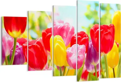 Produktbild von Bild auf Leinwand - Leinwandbild - Tulpe Blume Garten Plantage - 150x100cm - Wand Bild - Wanddeko - Leinwanddruck - Bilder - Kunstdruck - Wanddekoration - Leinwand bilder - Wandkunst - EG150x100-2466