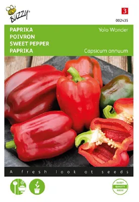 Produktbild von Paprika Yolo Wonder | Paprikasamen von Buzzy Seeds