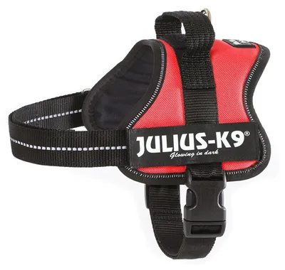 Image de Julius-K9® Powergeschirr® Baby 1 – Mini 51–67 cm/28 mm rouge