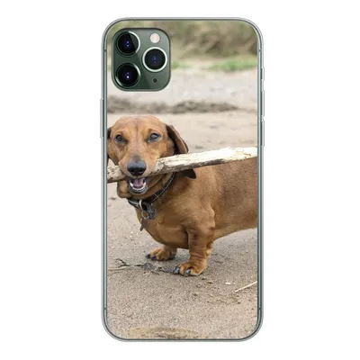 Produktbild von MuchoWow® Handyhülle Schutzhülle Hülle für iPhone 11 Pro Max Ein schöner Dackel mit einem Stock im Maul Silikon Softcase Handy Hülle - Schutz