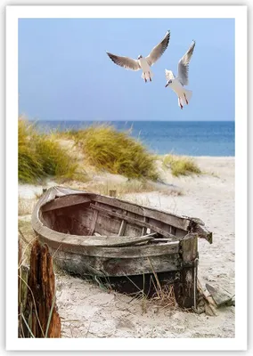 Produktbild von Poster - Poster ohne Rahmen - Strand Möwen £ódŸ - 70x100 cm - Wand Bild - Wanddeko - Wandbilder - Kunstposter - Wandposter - Bilder - Kunstdruck - Wanddekoration - Wandbild - P2XPA70x100-4170