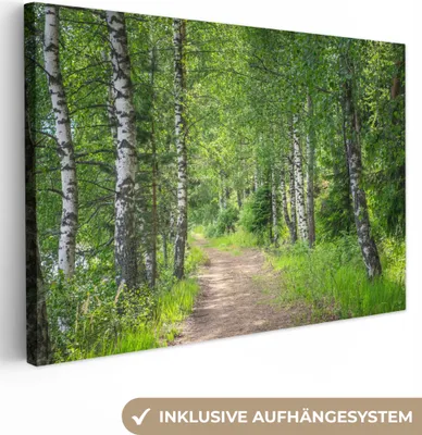 Produktbild von MuchoWow® - Leinwandbilder - Wald - Bäume - Birke, Wandbild, Wanddeko Bilder Wohnzimmer, 120x80 cm
