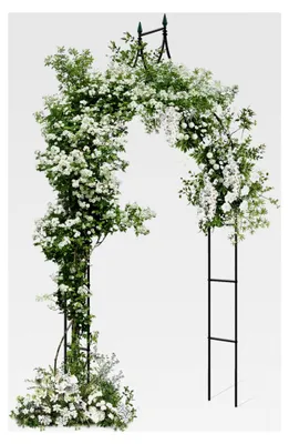 Produktbild von Metallbogen für Rosen, Gartenbogen für Blumen und Kletterpflanzen, Rankhilfe für Hochzeiten und Gartenpartys, Pergola für Rosen, 125 x 39 x 287 cm