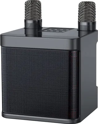 Produktbild von TANGCOOL Karaoke-Maschine, Bluetooth-Karaoke-System, Party-Lautsprecher mit 2 drahtlosen Mikrofonen, geeignet für Familienfeier, Hochzeit, Kirche, Picknick, Outdoor/Indoor