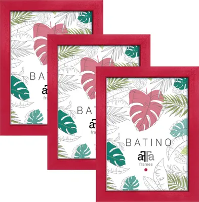 Three red picture frames are arranged in a staggered formation against a white background, showcasing a tropical leaf pattern within each frame.