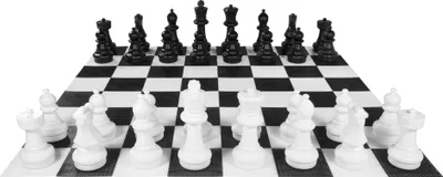 Image de XXL grand jeu d'échecs + 2 sacs de transport- protégé contre les UV - 41 cm roi