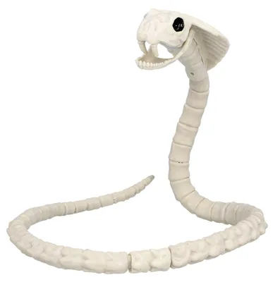 Produktbild von Schlangenskelett - Halloween Deko Outdoor