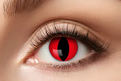 Produktbild von Kontaktlinsen Zoelibat Eyecatcher Red Cat 3 Monatslinsen Rot Katzenauge ohne Sehstärke