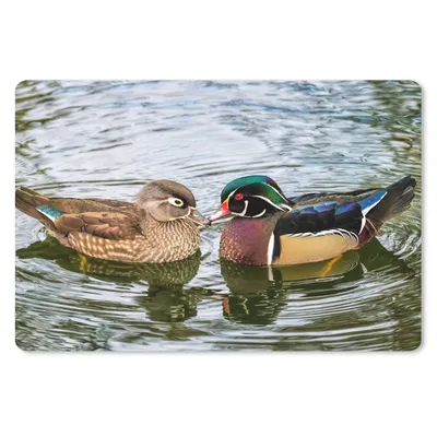 Produktbild von MuchoWow® Mauspad Mousepad Ente - Vögel - Wasser - Federn - Tiere 27x18 cm - Mousepads - Maus Mat - Pad - Mausunterlage - Büroartikel - Desk Matten