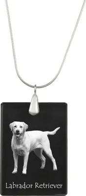 Image de Labrador retriever I - Pendentif en cristal avec chien, collier en argent avec photo, pendentif personnalisé de la marque Art-Dog