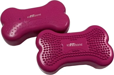 Produktbild von FitPAWS Gleichgewichtstrainer Mini K9FITbone 2 Stk. 29x16,5x6 cm