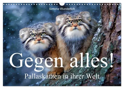 Produktbild von Gegen alles! - Pallaskatzen in ihrer Welt (Wandkalender 2027 DIN A3 quer), CALVENDO Monatskalender