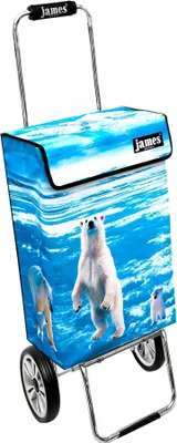 Produktbild von James Einkaufstrolley - ICEBEAR - stabiler Einkaufswagen mit individuellem Design - mehrfarbig: bunt in Ausführung: Chrome19