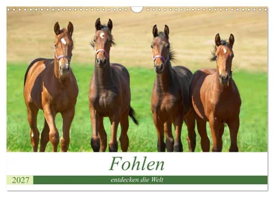 Produktbild von Fohlen entdecken die Welt (Wandkalender 2027 DIN A3 quer), CALVENDO Monatskalender
