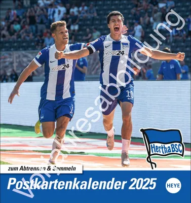 Produktbild von HEYE Posterkalender 2026 Hertha BSC 16x17cm