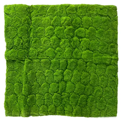 Produktbild von Künstliches Moos 100 x 100 cm. Moosmatte GRÜN