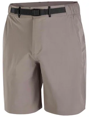Produktbild von Shorts Salomon Wayfarer 2.0 "Iron" für Herren