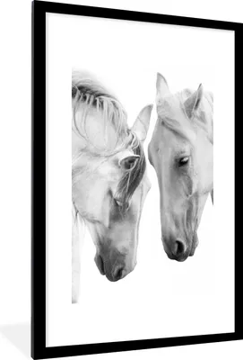 Produktbild von MuchoWow® Gerahmtes Poster Pferd - Tiere - Porträt - Weiß 60x90 cm - Poster mit Schwarzem Bilderrahmen Wandposter Rahmen Foto Bilder - Dekoration - Wandposter Wohnzimmer - Hochwertig