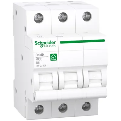Immagine prodotto di Interruttore automatico Schneider Electric R9F23306