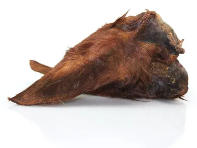 Produktbild von Pferdeohren getrocknet mit Fell 1 Kg Hundesnack Kausnack Hundeleckerlie getreidefrei für Hunde natürlich ohne Zusätze