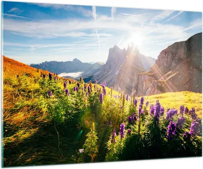 Produktbild von Bilder auf glas - Berge Wiese Blumen - 100x70cm - Glasbilder - Wandbilder - Kunstdruck - zum Aufhängen bereit - Wanddekoration aus Glas - Glas Bilder - Wandbild auf Glas - Einteilig - GAA100x70-4008