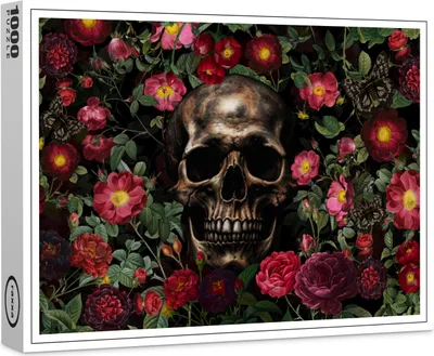 Produktbild von raxxa Premium-Puzzle "Magisches Erbe: Vintage Skull", 1000 Teile