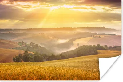 Produktbild von MuchoWow® Poster Nebel - Sonne - Landschaft 180x120 cm - Fotoplakat