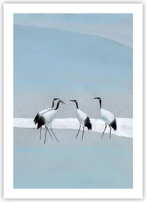 Produktbild von Poster - Poster ohne Rahmen - Vögel Kraniche Natur - 50x70 cm - Wand Bild - Wanddeko - Wandbilder - Kunstposter - Wandposter - Bilder - Kunstdruck - Wanddekoration - Wandbild - P2XPA50x70-4921