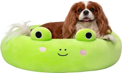 Productafbeelding van Pelíšek Squishmallow, Wendy het kikkertje, 60 cm