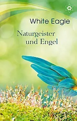 Produktbild von Naturgeister und Engel