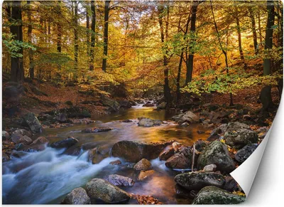 Produktbild von Vlies fototapete Gebirgsbach im Wald 300x210 cm Feeby Orange inkl. Kleber einfache Montage