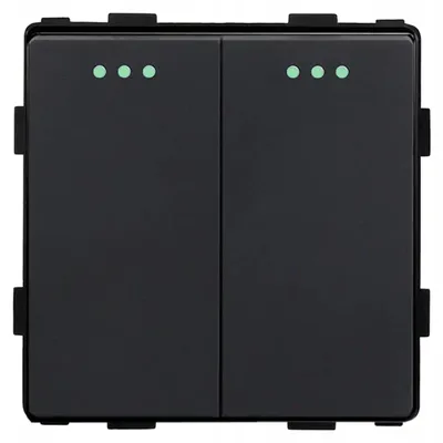 Produktbild von DC Smart Home Primo Mechanischer Doppelschalter Schwarz