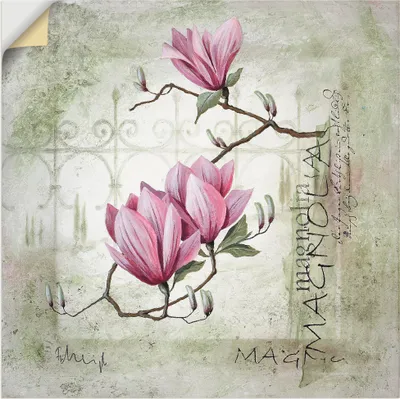 Produktbild von ARTland Wandbild, selbstklebend Pinke Magnolie Größe: 100x100 cm