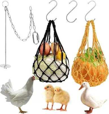 Produktbild von Tierfutterhalter - RVS - 3 Stück - Aufwärtsspielzeug für Tiere - Enten Vögel Kaninchen Papagei