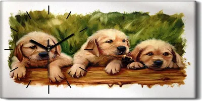 Produktbild von Küche Wohnzimmer Wand Leinwand Uhr 60x30 Wand Kunst Bild Malen Hunde Gras Tiere - schwarze Hände