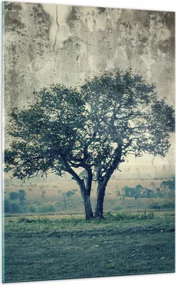 Produktbild von Bilder auf glas - Einteilig - Baum Natur Feld - 70x100cm - Glasbilder - Wandbilder - Bilder - zum Aufhängen bereit - Wanddekoration aus Glas - Glas Bilder - Wandbild auf Glas - GPA70x100-3627