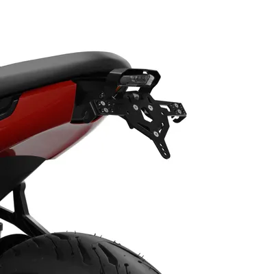 Produktbild von ZIEGER Pro Kennzeichenhalter kompatibel mit Triumph Trident 660 Frankreich
