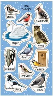Produktbild von *RANOK 88966 Aufkleber Vögel überwintern in Polen