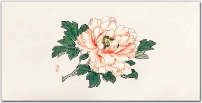 Produktbild von Coloray - Bild aus Glas - Glasbilder - 100 x 50 cm - Glasblock mit Bild Gehärtetes Glas Wohnzimmer Küche Dekoration Wanddekoration - Asiatische Blumen