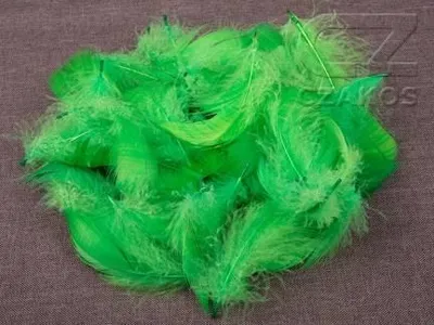 Produktbild von Dekofedern - Grün, 12 g