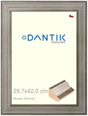 Zdjęcie produktu dla Ramka DANTIK 29,7x42 | Museo silver (Plexi Clear)